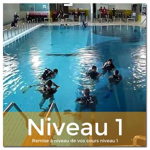 REMISE A NIVEAU : cours niveau 1