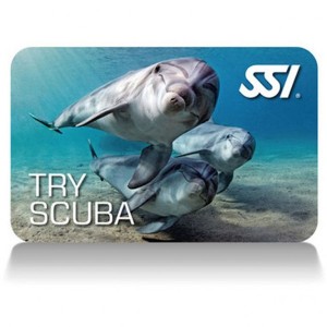 TRY SCUBA SSI