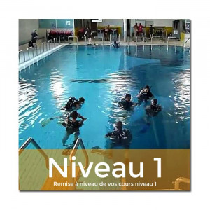 Remise à niveau : cours niveau 1