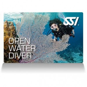 Open Water Diver SSI : 100% à Paris