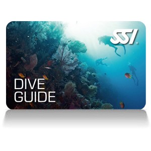 DIVE GUIDE SSI