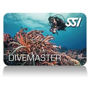 DIVEMASTER SSI