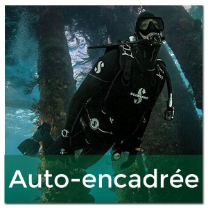 PLONGEE D'EXPLORATION AUTO-ENCADREE
