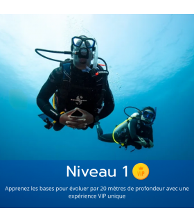 Passer votre niveau 1 FFESSM de plongée en individuel à Paris