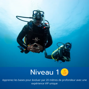 Passer votre niveau 1 FFESSM de plongée en individuel à Paris