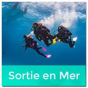 Sortie en mer