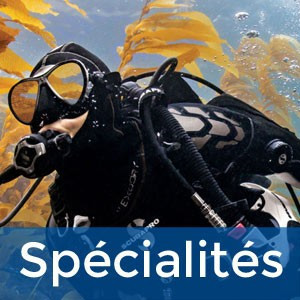 Pack de spécialités